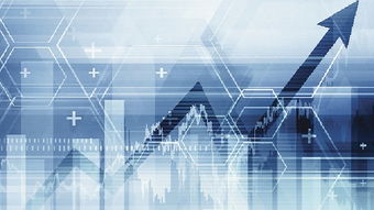 解码财商私募基金经理（私募基金经理助理骗局）