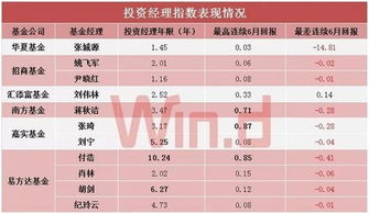 基金经理的投资年回报率（基金经理的回报率怎么看）