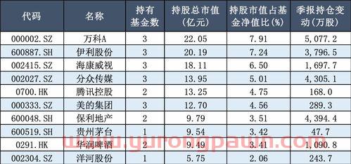 沙特最有钱的基金经理排名（沙特最有钱的基金经理排名前十）