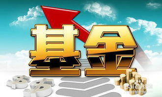 买基金的效率怎么样（买基金怎么样?）