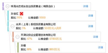 光芒基金美国投资公司（光芒 公司）