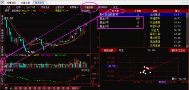 自选股票怎么用指标买基金（自选股怎么编指数）