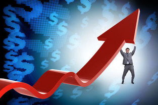 买a股大盘基金怎么样（大盘股票基金）