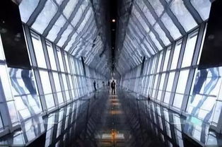 上海环球金融中心观(上海环球金融中心观光厅营业时间) 上海环球金融中心观(上海环球金融中心观光厅营业时间)