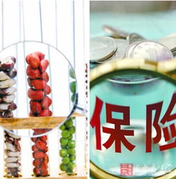 保险业是金融业还是服务业(保险行业属于金融业吗)