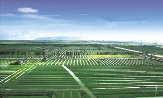 农业银行是绿色金融发展的(农业银行要充分发挥金融对绿色发展的杠杆撬动作用)