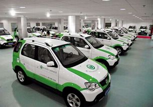 如何看纯电动汽车价格表(电动汽车怎么看生产日期)