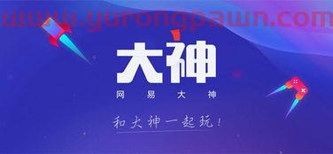 大神买的基金怎么样啊知乎(网易大神游戏基金)