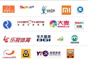 云锋基金投资公司(云锋基金官网)