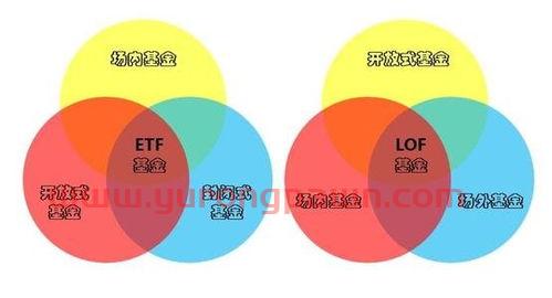 最适合自己的基金投资公司(最适合自己的基金投资公司有哪些)