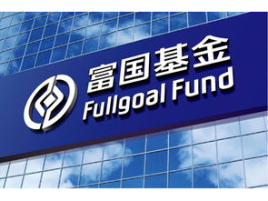 富国基金经理排名多少(富国基金管理有限公司基金经理)