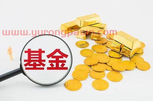 股票投资中怎么买基金(股票基金怎么买才赚钱)