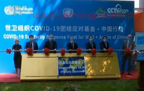 新冠药物基金怎么样买(新冠肺炎基金有哪些)