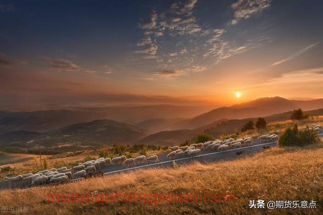 12月14日，期货夜盘脉向：黄豆一恢复跌势，豆油收出5连阴