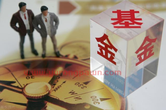 跌跌不休！网红基金诺安成长净值连续回调，投资者该如何抉择？