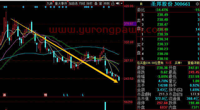 跌跌不休！网红基金诺安成长净值连续回调，投资者该如何抉择？