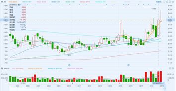 华银电力股票股吧