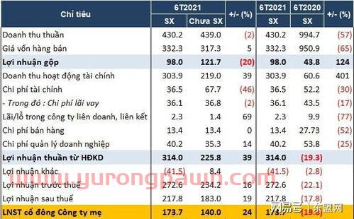 赵建平持股公司2021最新