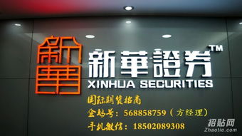 长安汽车股票最高价