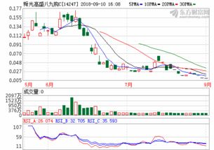 五大四小发电集团