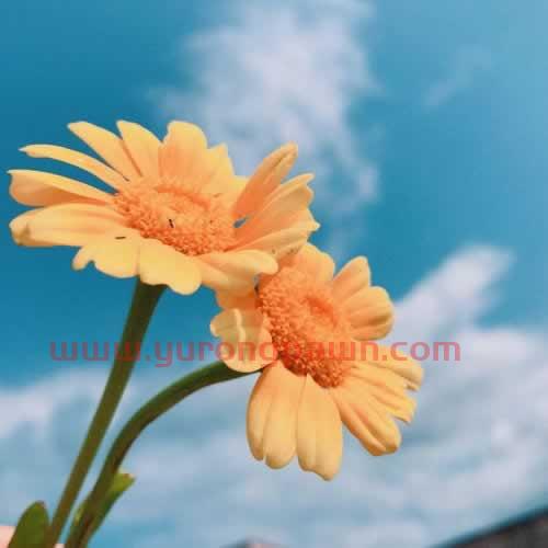 在网上被黑银行系统维护不给出款如何挽回（图）