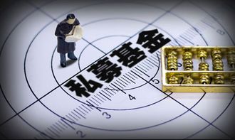 私募基金经理被判（私募基金经理人）