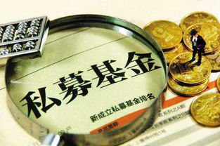 小型私募基金经理（私募基金经理门槛）