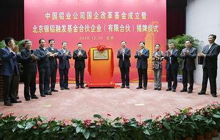 中铝集团基金投资公司（中铝集团基金投资公司怎么样）