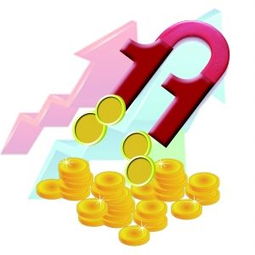 双十一一般买什么基金好（双十一购物基金是什么意思）