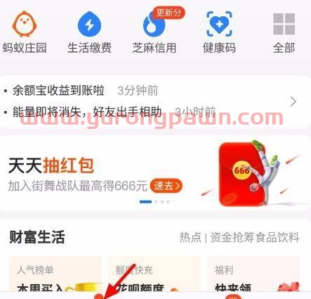 基金收益问题支付宝怎么看（支付宝基金收益看哪里）