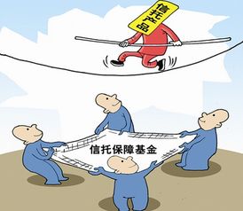 期货保障基金怎么样才能买（期货保障基金管理机构是什么）