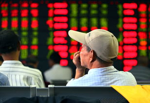 基金内部散户怎么买股票(基金散户能赚钱吗) 基金内部散户怎么买股票(基金散户能赚钱吗)