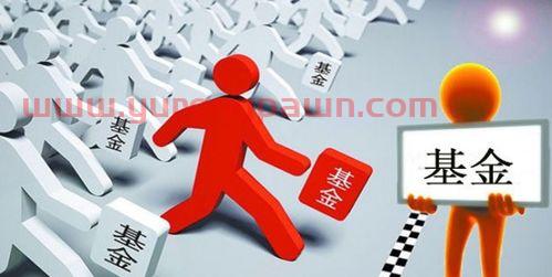 新手怎么入门买基金股票（新手应该怎样买基金知乎）