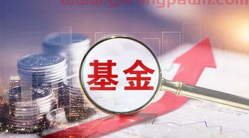 为什么要超前投资基金经理（为什么要投资基金?）