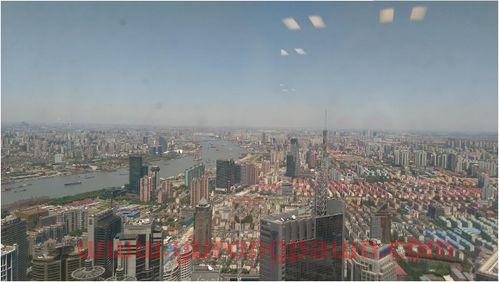 上海环球金融中心警犬（上海环球金融中心外号）