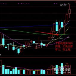 600177(600177 雅戈尔) 600177(600177 雅戈尔)
