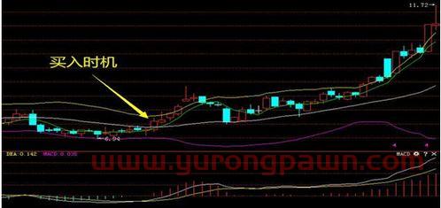 162412(162412基金实时净值)