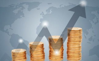 什么是银行财富金融(什么叫财富金融)