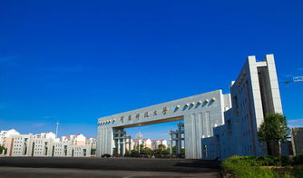 河南科技大学的金融学咋样(河南科技学院金融)