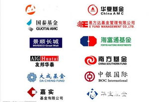 基金投资公司业务(基金公司 投资公司)