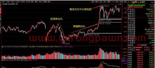 中概股关联基金怎么买股票(中概股基金买卖规则)