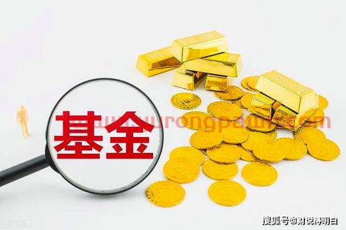 基金数据怎么看收益和亏损(怎么看懂基金数据)