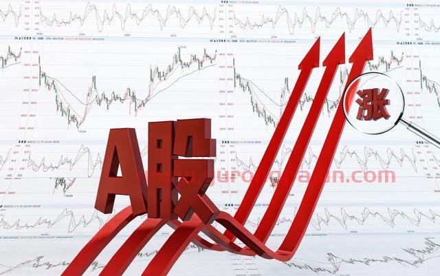 A股大盘中的沪指、深指、创业板指、科创50指数的区别和不同？