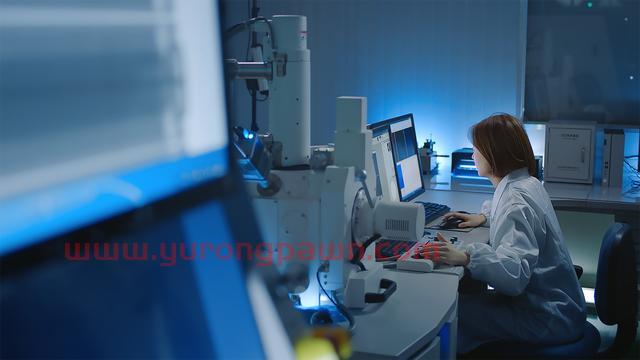 中国品牌日观察：科技长虹，诠释新时代“产业报国”