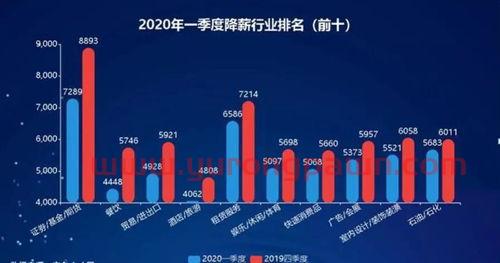 庞大股票