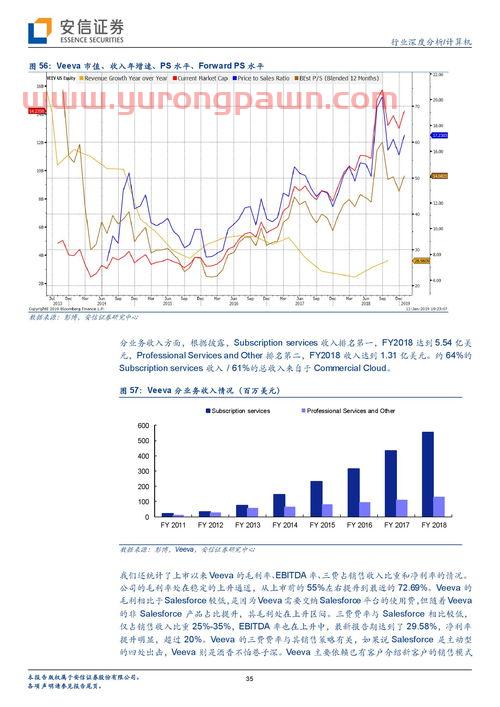 孙公司什么意思