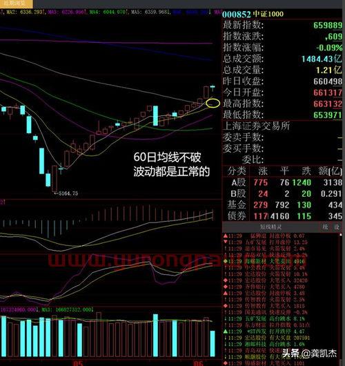 西南证券钱龙金典版