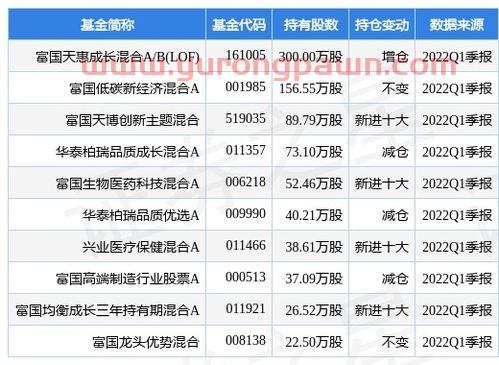 320007诺安成长